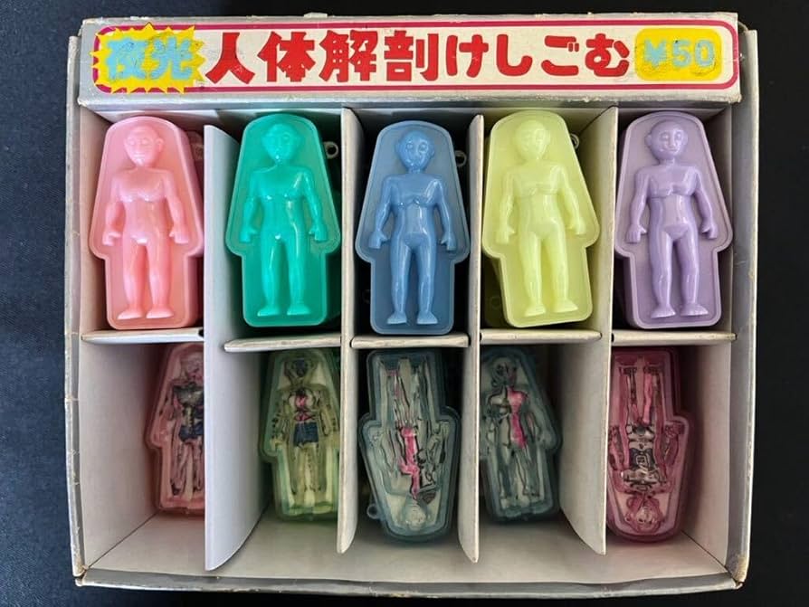 Amazon | 《》夜人体解剖 けしごむ《9種32個:箱入り》《1980年代